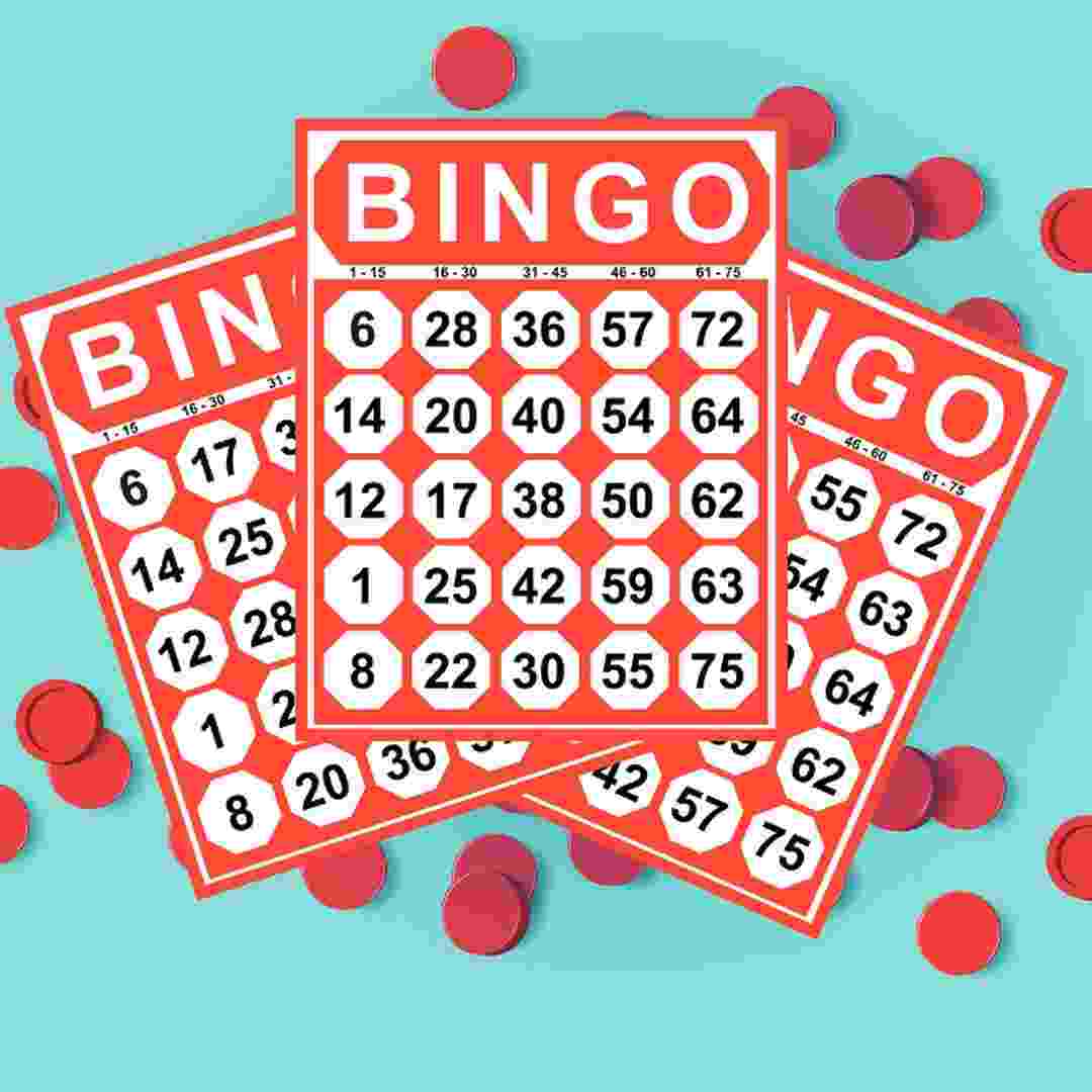 Bingo casino